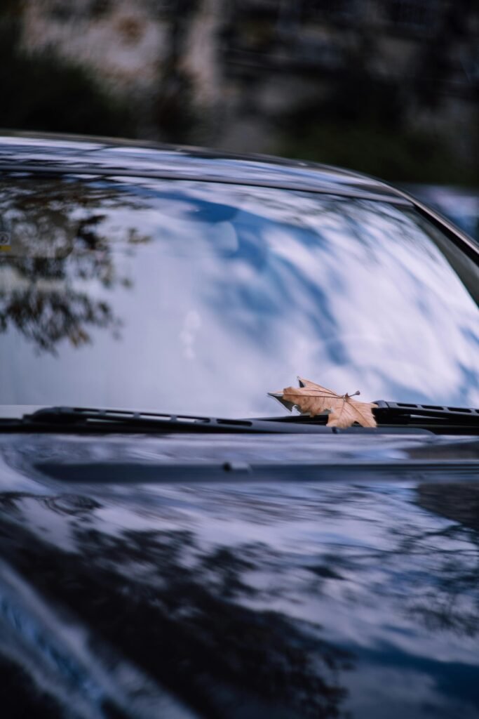 pexels-photo-10765226-10765226 Withered maple leaf rests on a car windshield, reflecting clouds in a serene outdoor setting.